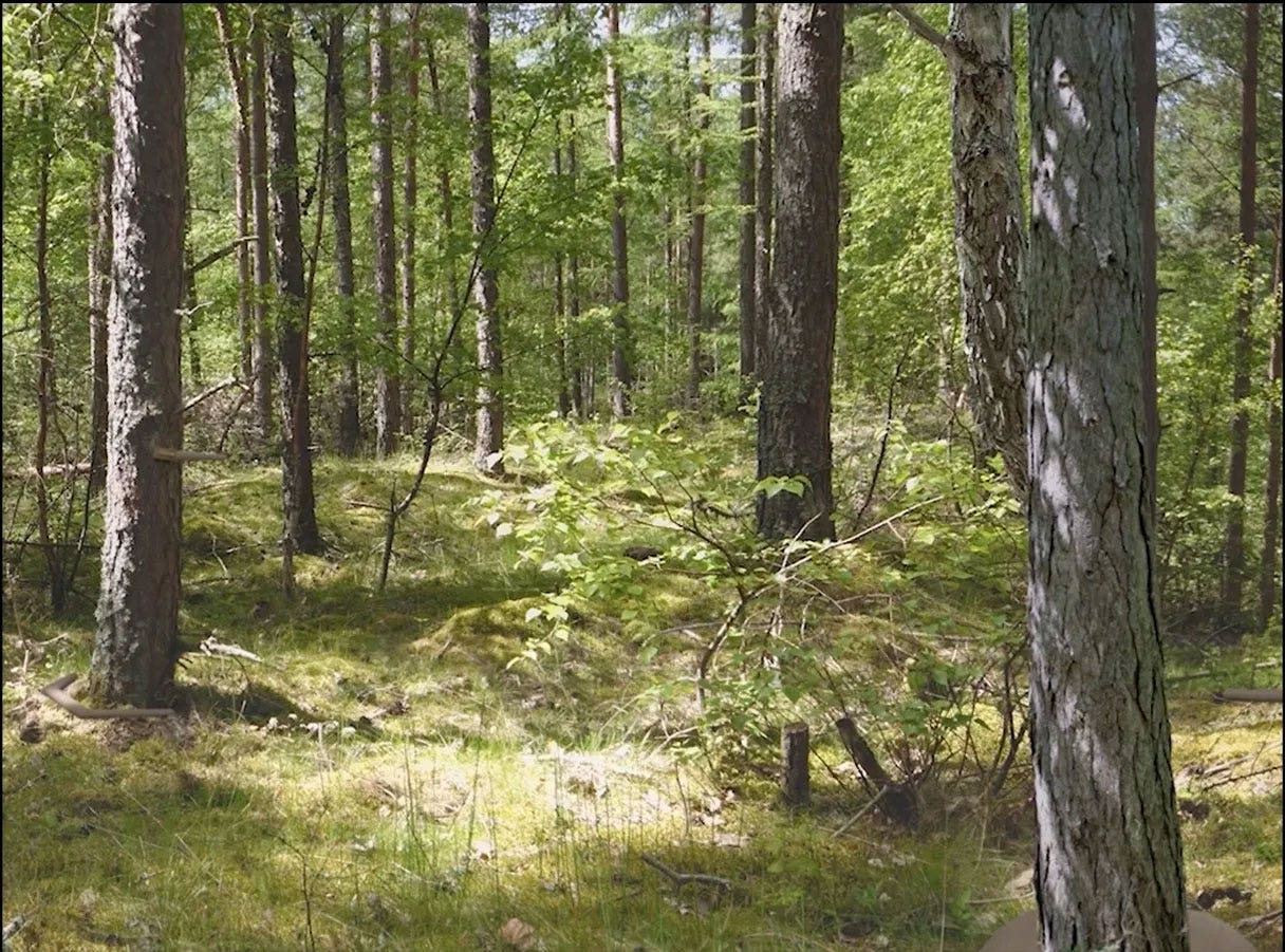 Help de natuur met Umage